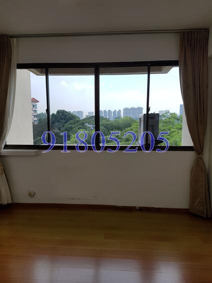 Sommerville Park (D10), Condominium #153876162